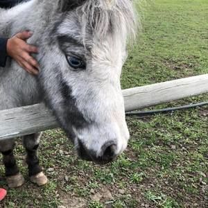 Meet your Posher, Jeanette